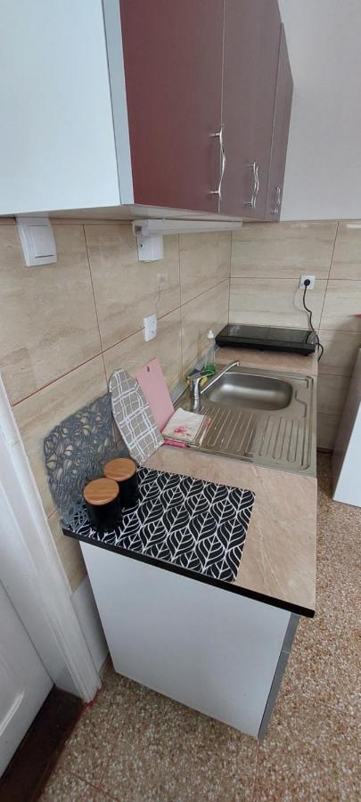Duplex Mihajlovic-Vrnjacka Banja Apartment Bagian luar foto