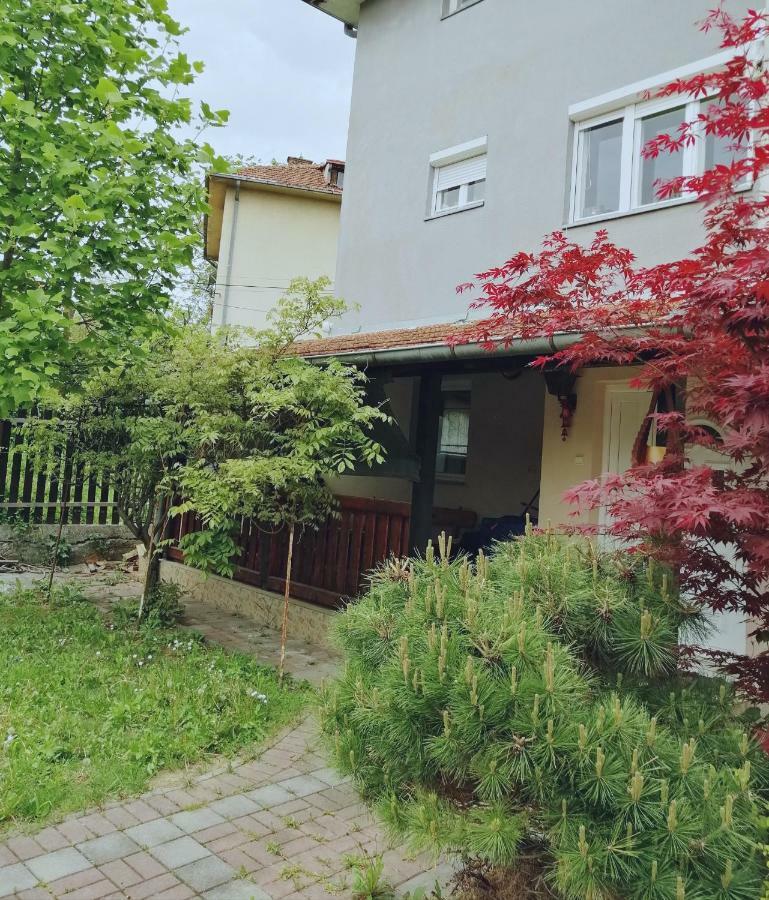 Duplex Mihajlovic-Vrnjacka Banja Apartment Bagian luar foto