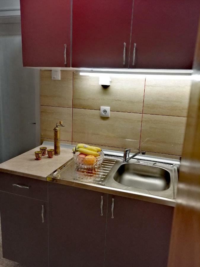 Duplex Mihajlovic-Vrnjacka Banja Apartment Bagian luar foto