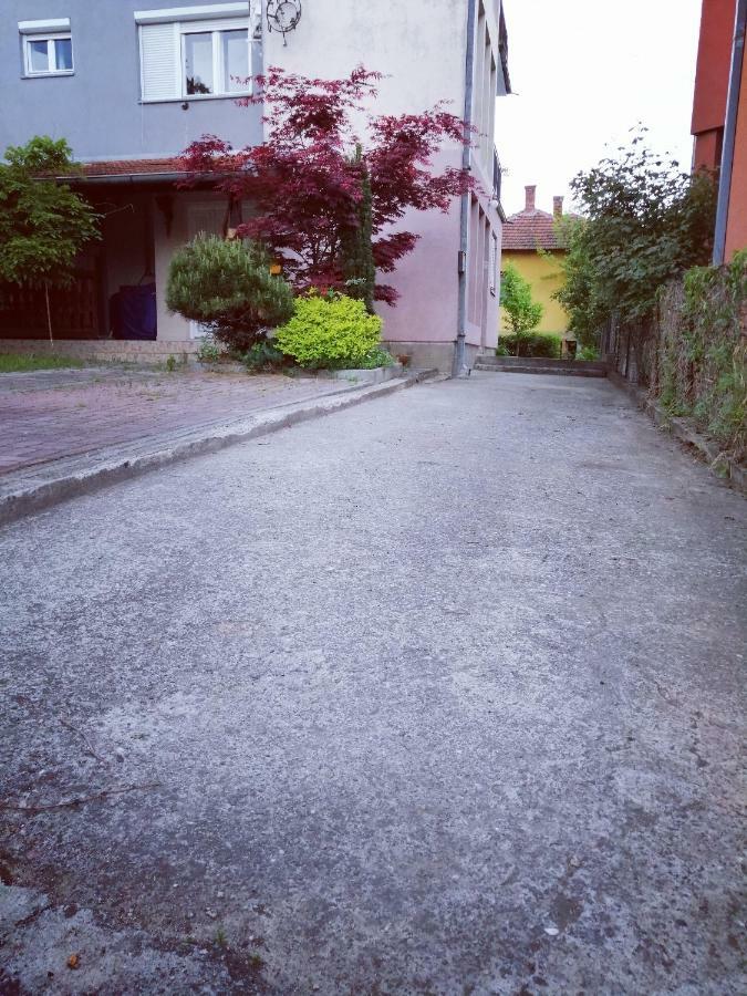 Duplex Mihajlovic-Vrnjacka Banja Apartment Bagian luar foto